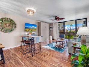 Televisio, DVD-soitin