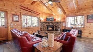 Smart TV, chimenea y reproductor de DVD