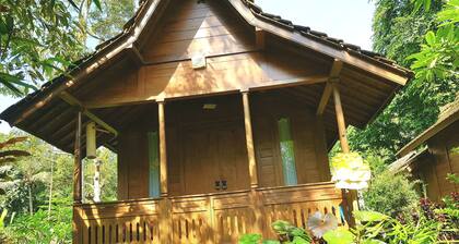 Song Broek Jungle Resort
