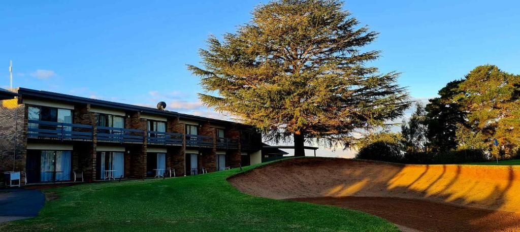 Un edificio de varios pisos con techo plano, un área verde al frente y un árbol grande a la derecha.