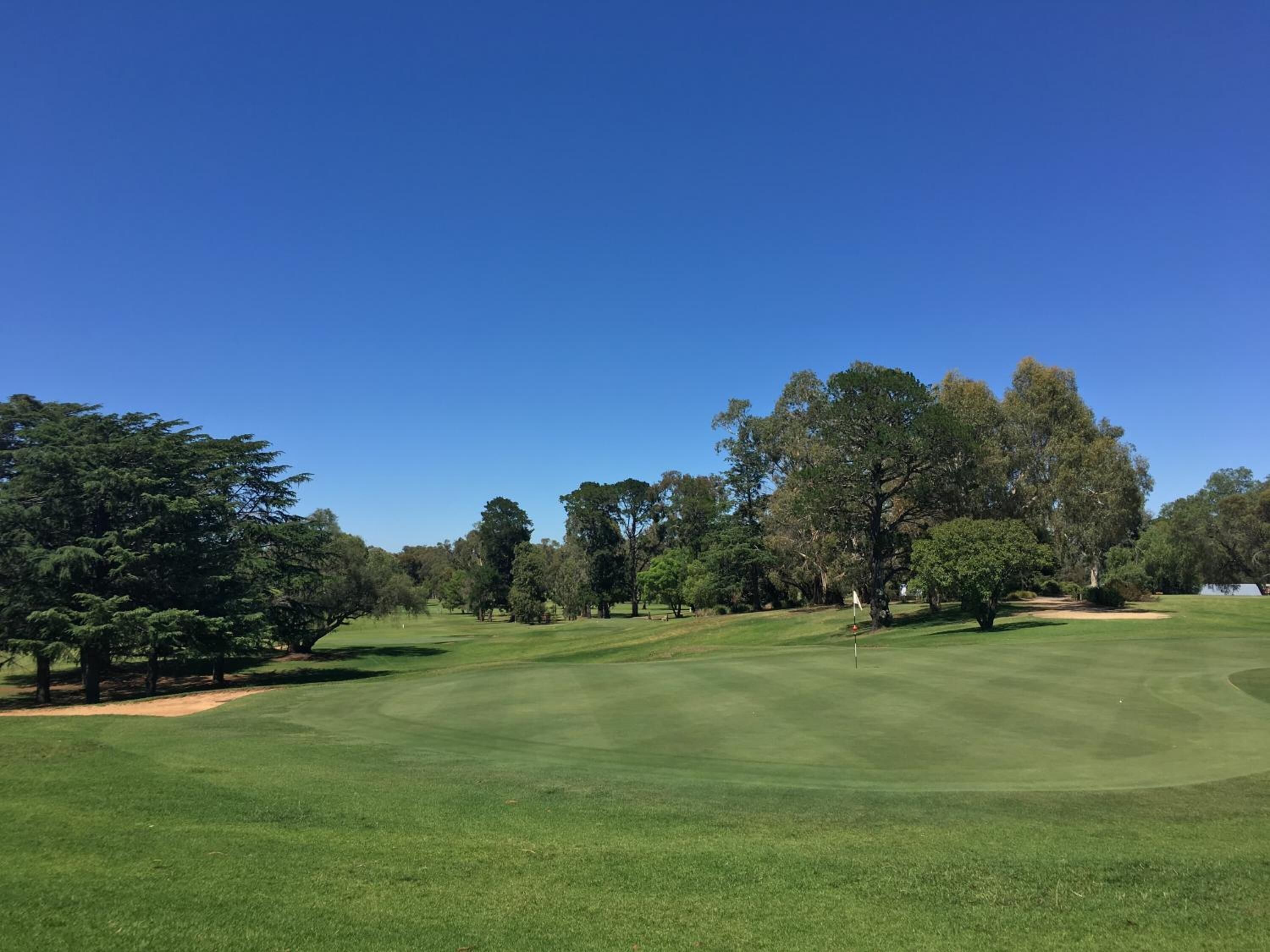 Een golfbaan met goed onderhouden gras, bomen en een helderblauwe lucht.