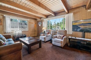 Fernseher, Kamin, Netflix, DVD-Player