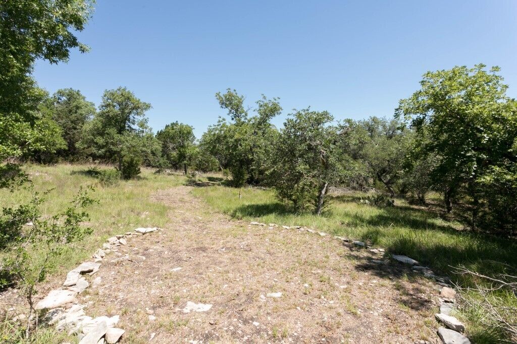 Un'area naturale all'aperto con un sentiero sterrato circondato da alberi e arbusti.