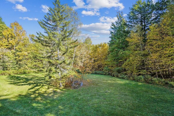 Escape to a serene natural oasis with lush trees and a vibrant landscape.