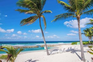 A beach with palm trees, a clear blue sky, and a calm sea.