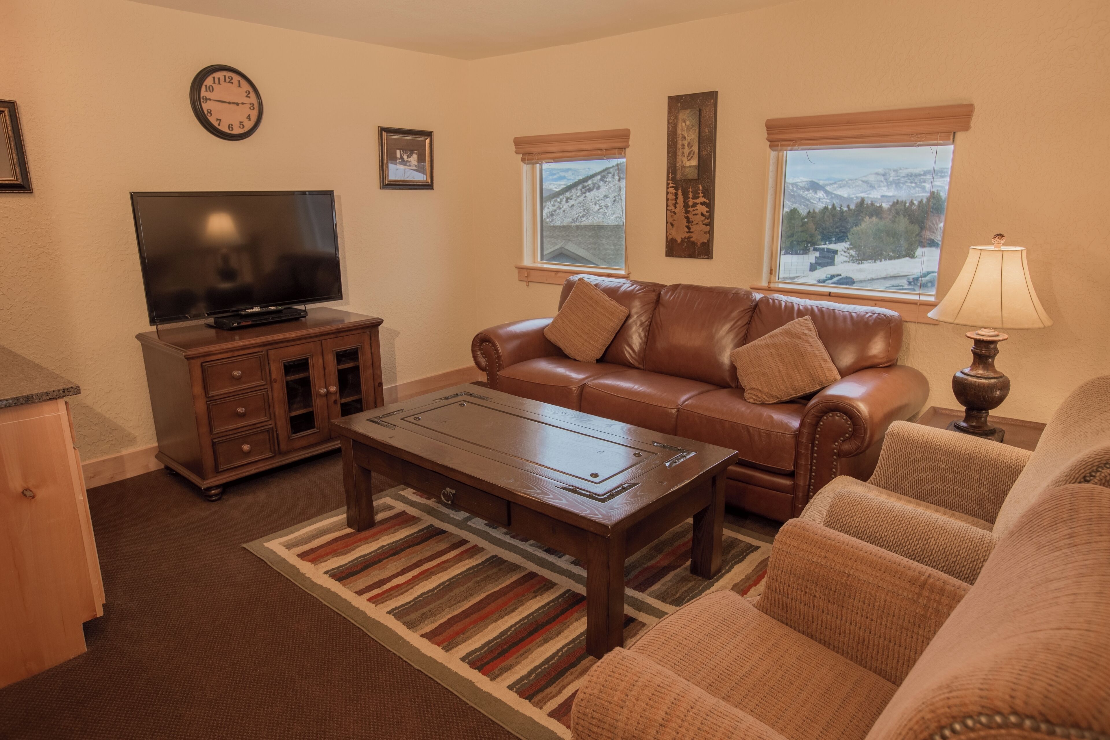 电视、壁炉、DVD 播放器、立体声音响