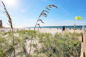 Plage à proximité