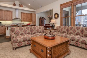 电视、壁炉、DVD 播放器