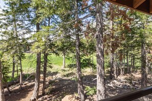 Surrounded by a lush forest of conifers and deciduous trees.