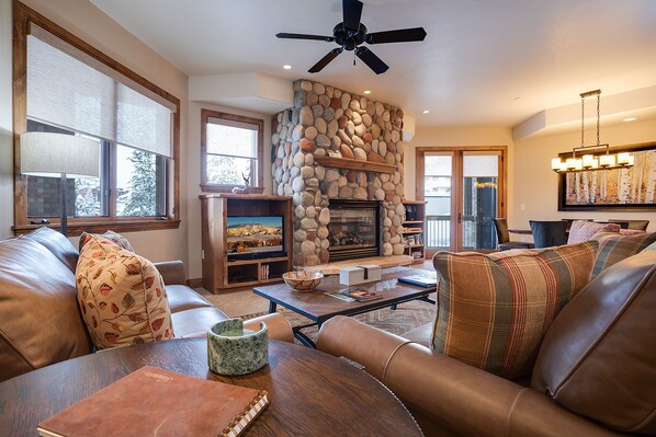 Tv, pejs, dvd-afspiller