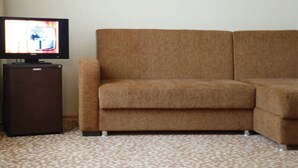 Una sala de estar con un sofá marrón, un televisor sobre un mueble bajo y una alfombra estampada.