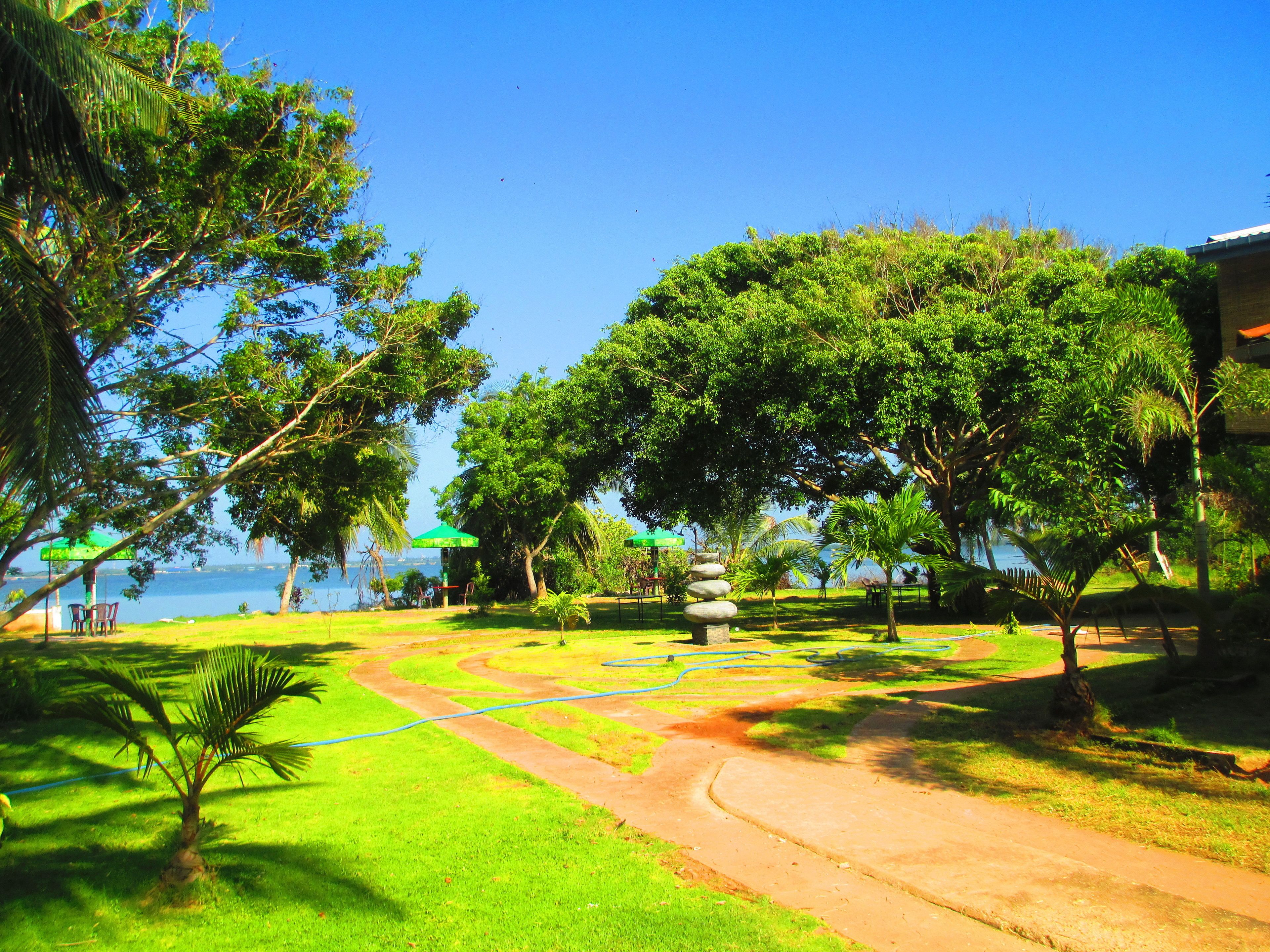 Vista desde la propiedad