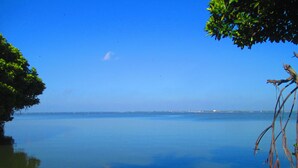 Un cuerpo de agua tranquilo con cielo despejado, rodeado de vegetación y una costa lejana.