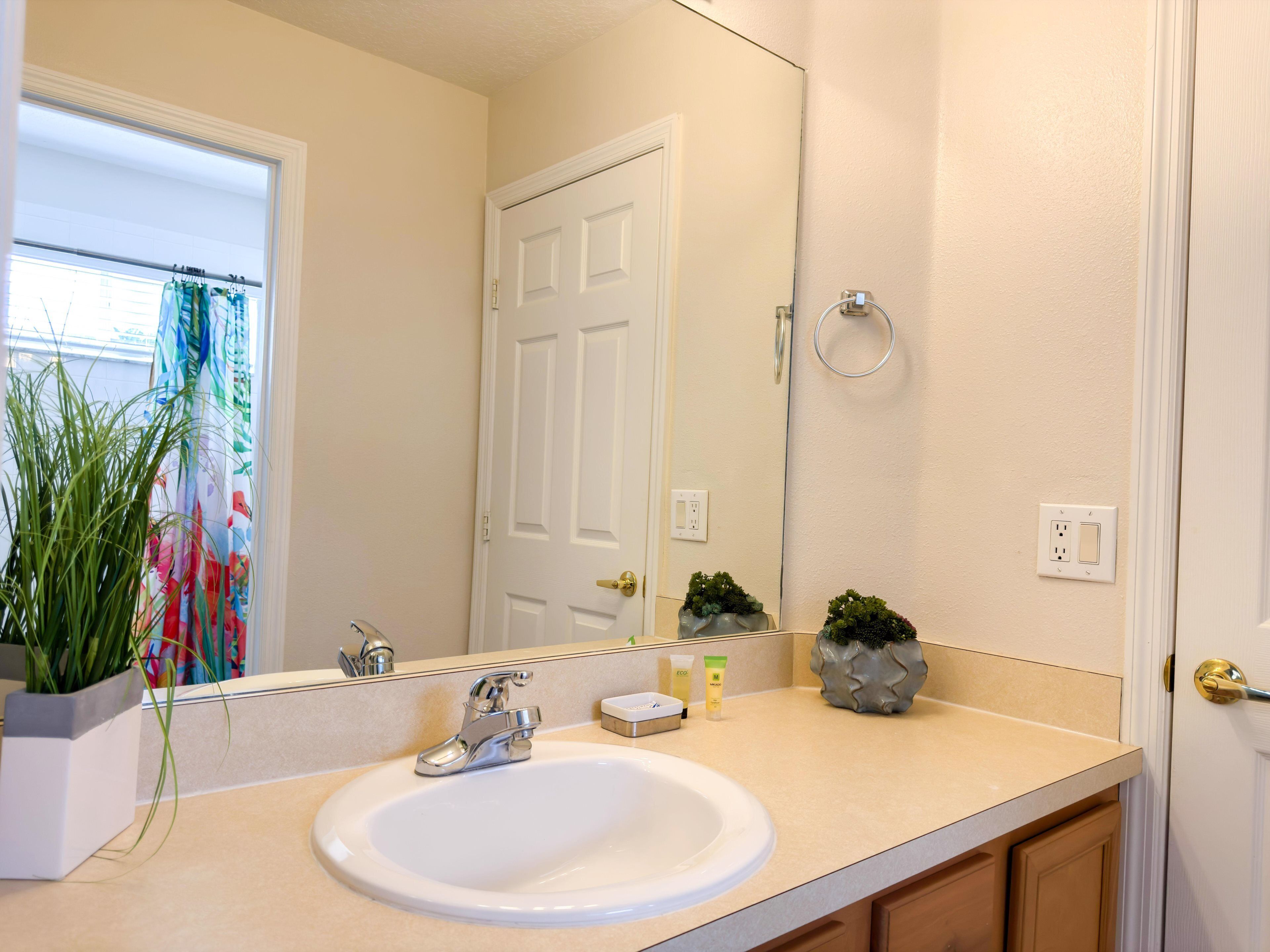 A bathroom with a white sink, a mirror, a door, and a window with curtains.