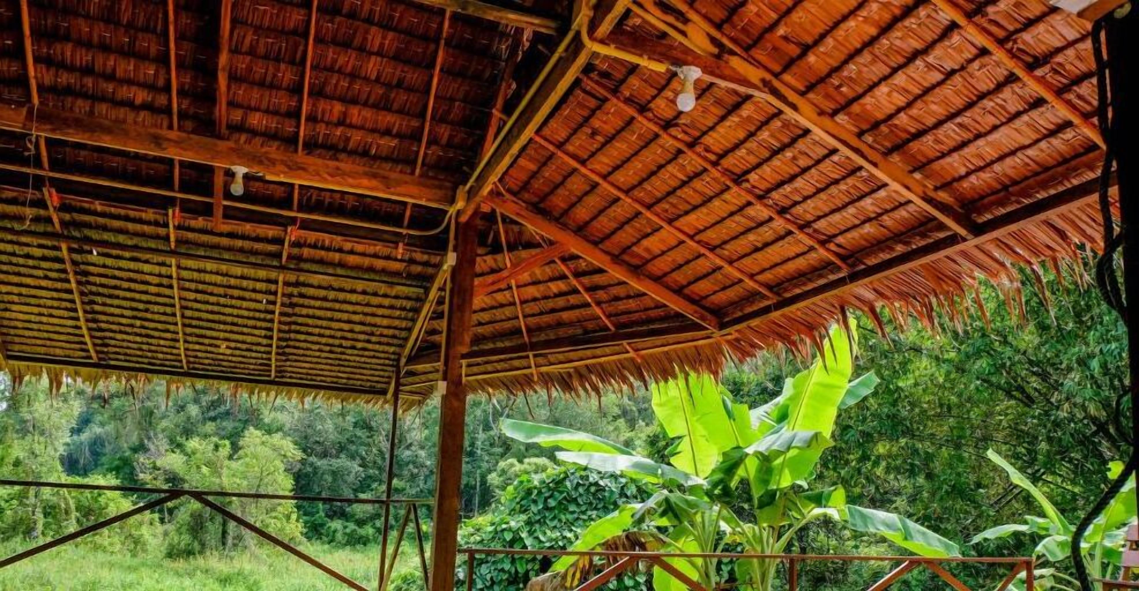 Una construcción con techo de paja y vistas de vegetación exuberante.
