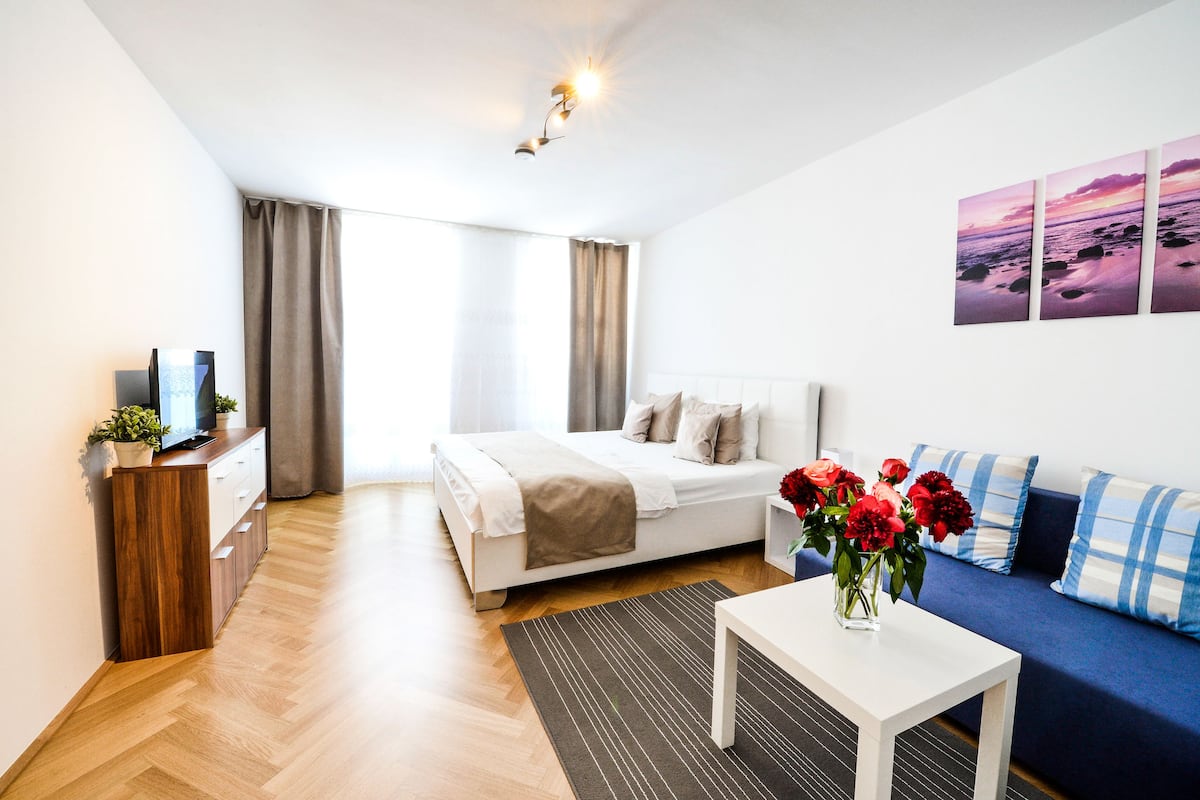 1 slaapkamer, een strijkplank/strijkijzer, gratis wifi