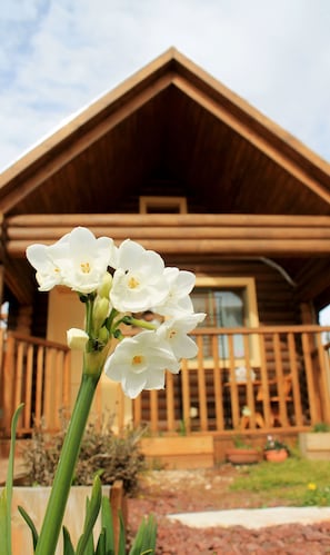 A wooden cabin with a porch and a clear sky. - Dalia Barama (El-Rum)
