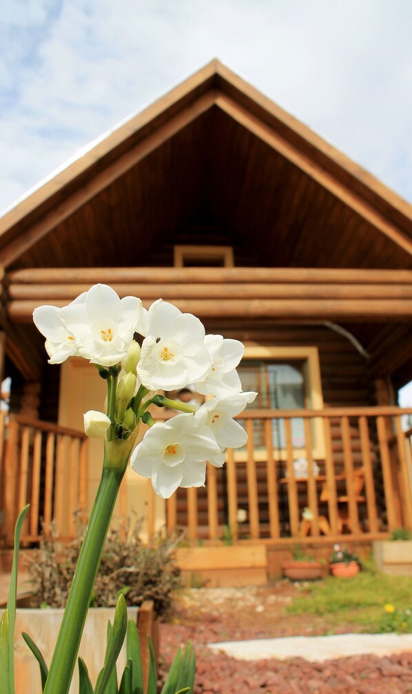 Voorkant van accommodatie