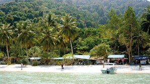 Une plage bordée de palmiers, un bateau et une montagne en arrière-plan.