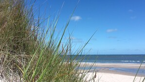 A beach with sand and grass.