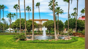 A well-maintained garden with a central fountain, surrounded by palm trees and a building with a red roof.