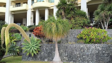 Detalle del exterior