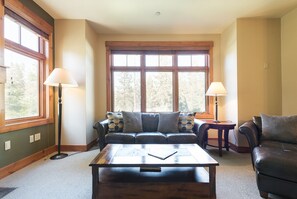 テレビ、暖炉、DVD プレーヤー