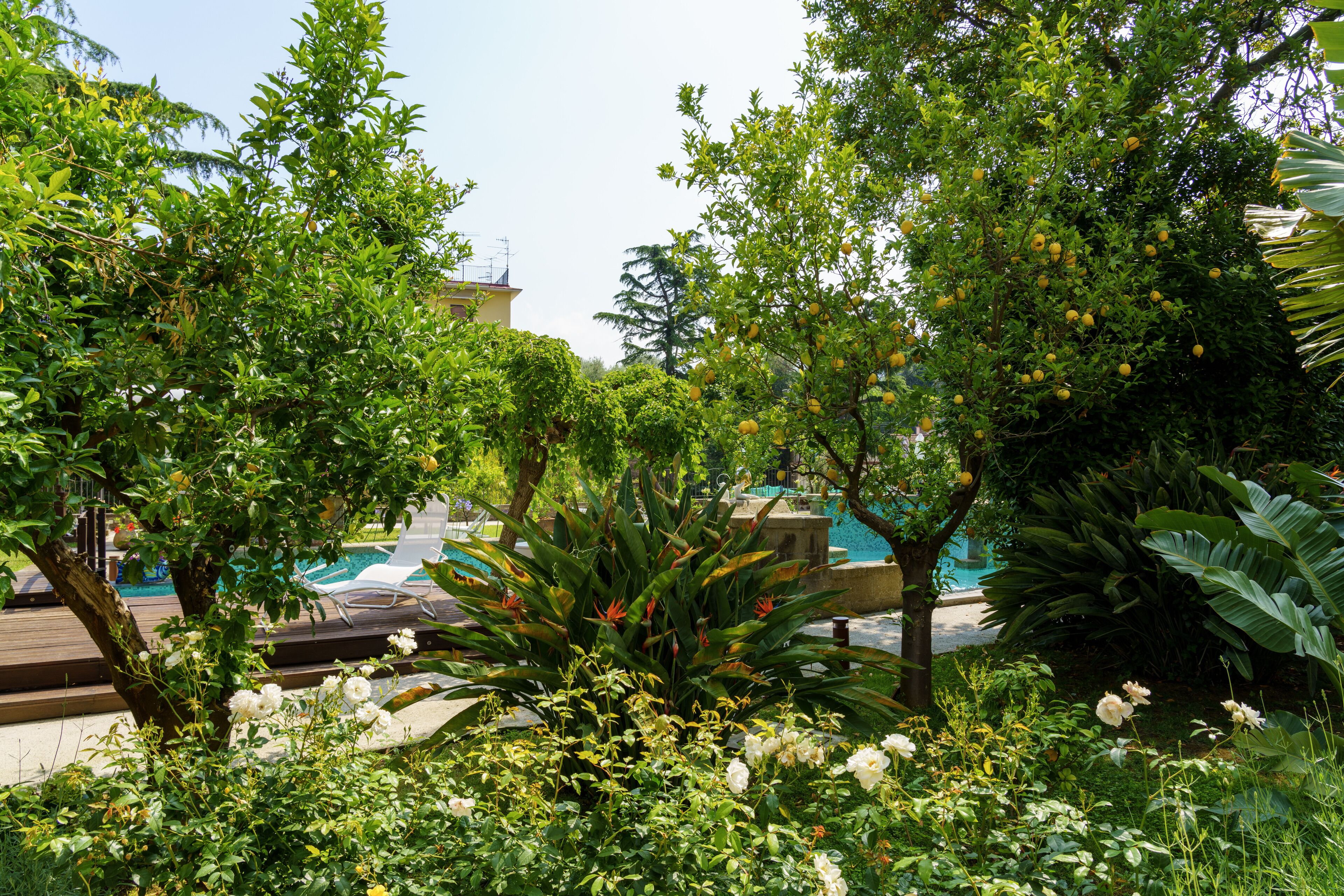 Foto - Villa Manning Relais