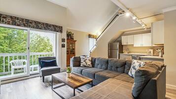 智能电视、壁炉