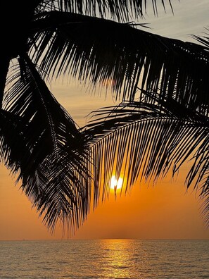 A sunset over a calm sea with palm tree silhouettes.