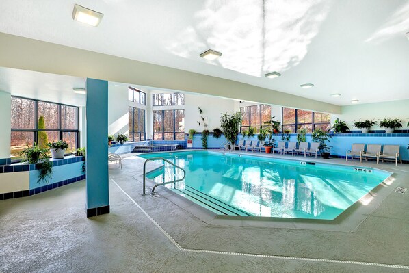 Una piscina interior con agua cristalina, rodeada de sillas de descanso y plantas en macetas.
