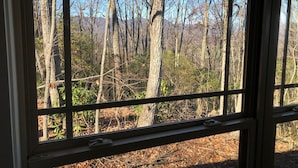 Una ventana con vista a un área boscosa.