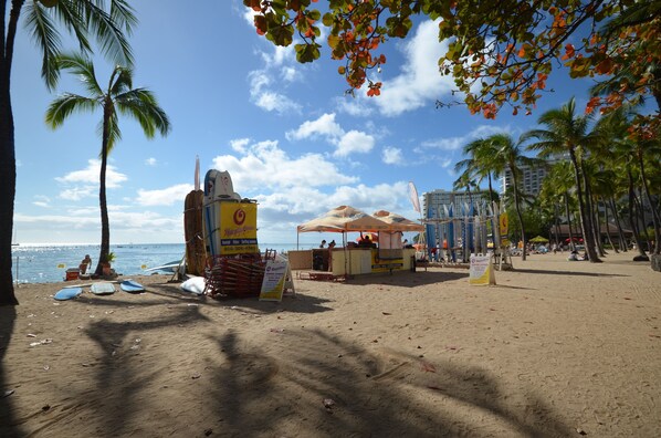 Une plage bordée de palmiers, avec des parasols et un stand de restauration.