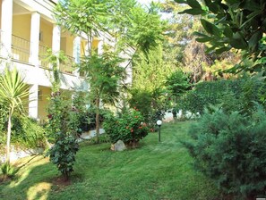 Un patio con césped, varios arbustos y un edificio con columnas.
