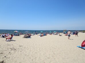 Una spiaggia nelle vicinanze