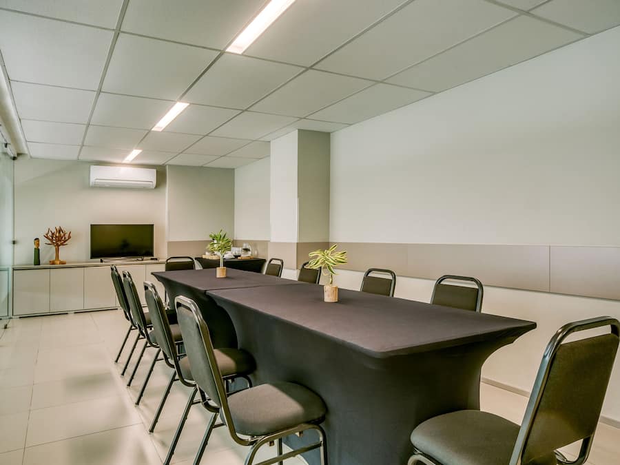 A conference room with a long table, chairs, a flat-screen TV, and potted plants.