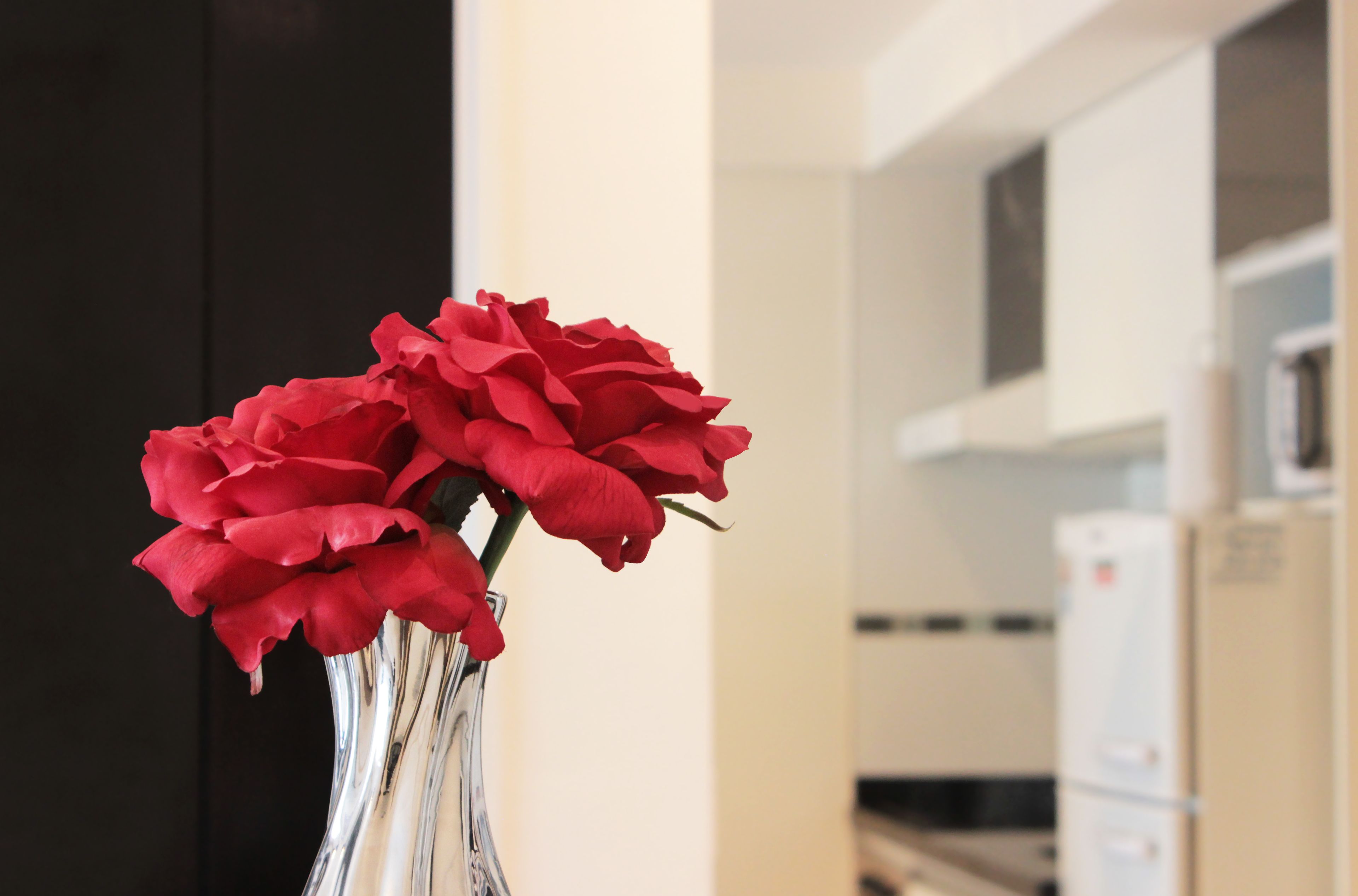 A vase with red flowers in a modern kitchen setting.