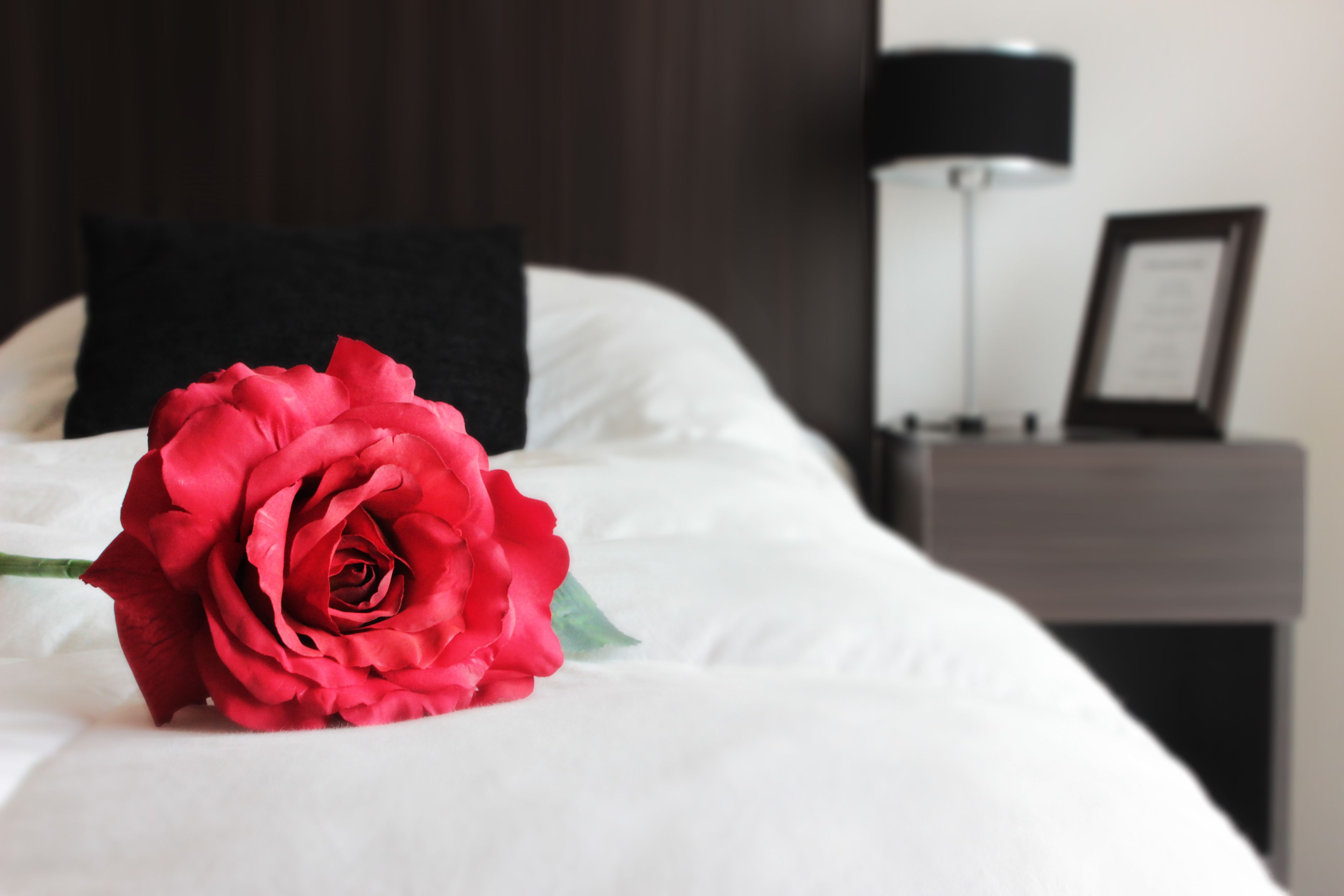 Uma cama com roupa de cama branca e uma única rosa vermelha.
