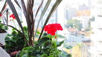 Ein Blumentopf mit roten Blüten auf einem Balkon mit Blick auf die Stadt.