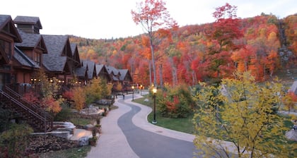 BEST Ski-in / ski-out in Tremblant!!! CHIC chalet overlooking ski slopes!
