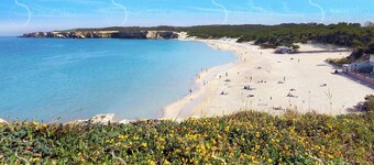 Villa Goccia by BarbarHouse