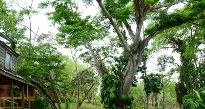 Howler Monkey Resort