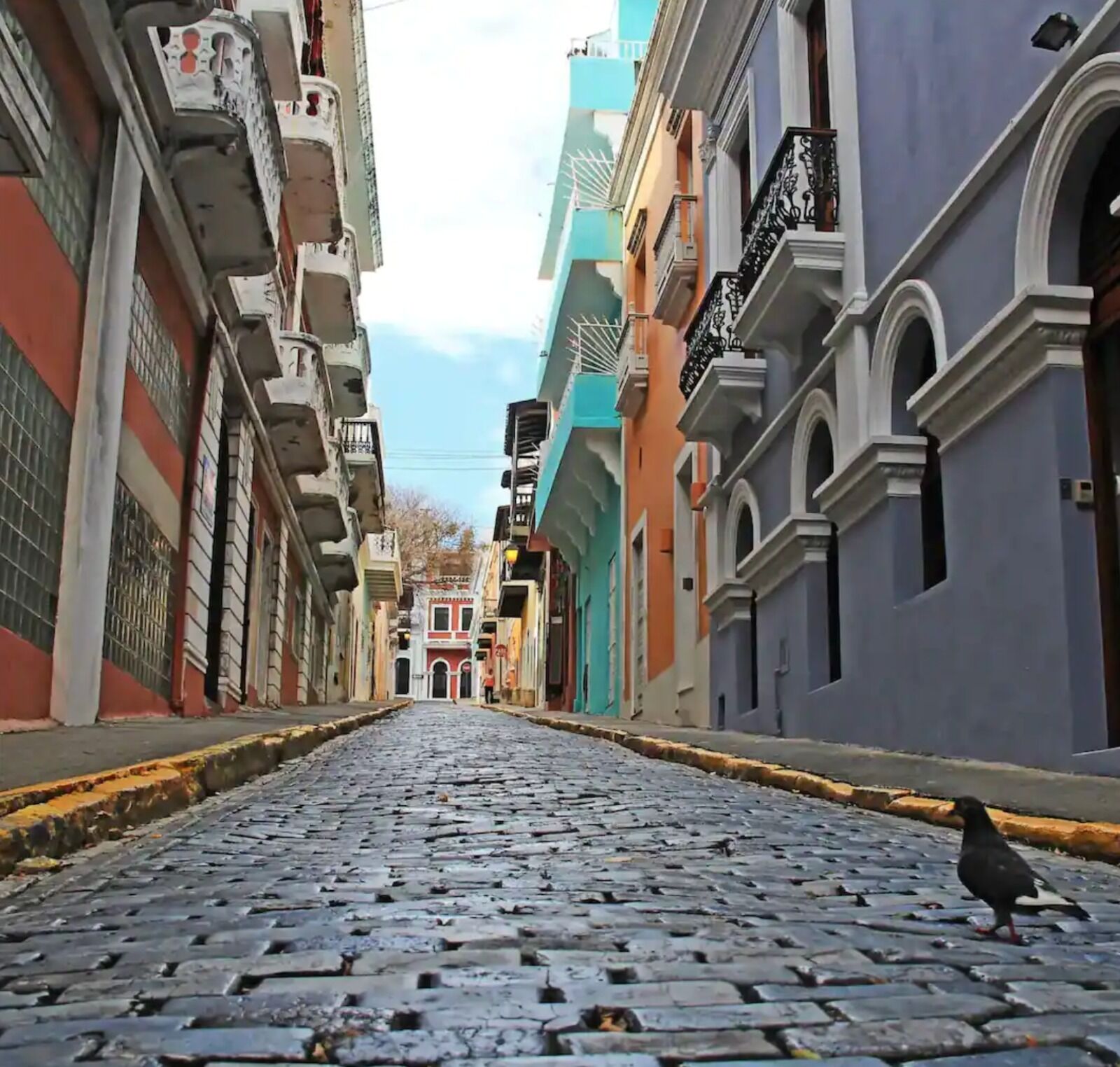 Una calle adoquinada flanqueada por edificios coloridos, una paloma en el suelo y un cielo despejado.
