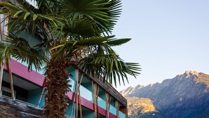 A multi-story building with balconies, a palm tree in front, and a mountainous backdrop.