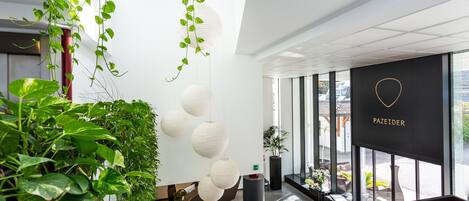 Un intérieur moderne agrémenté de plantes suspendues, d’un comptoir d’accueil et d’une enseigne portant l’inscription « PAZEIDER ».
