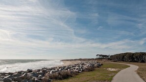 A coastal path with a rocky barrier, a paved walkway, and a grassy area with sparse vegetation. - 4 BR Corner Unit Oceanfront Steps to it all! (Kure Beach)