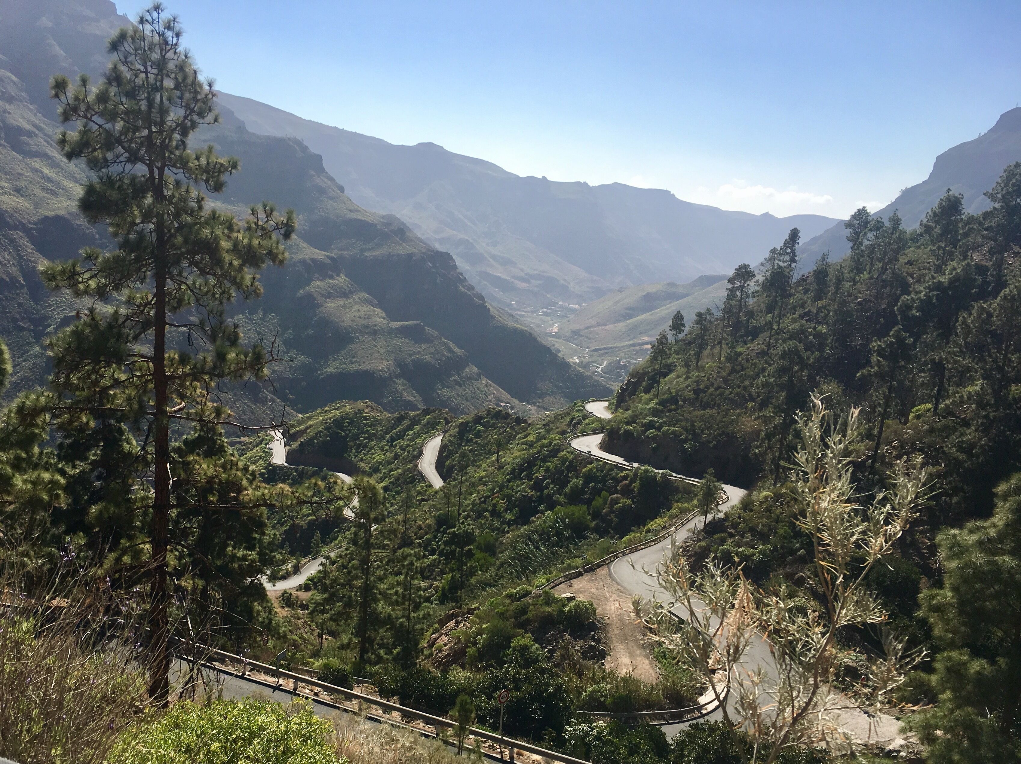 A winding road through a mountainous area with dense forests and a clear sky.