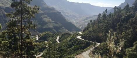 A winding road through a mountainous area with dense forests and a clear sky.