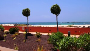 Un jardin aménagé avec deux arbres, un mur rouge et une vue sur la plage et l’océan.