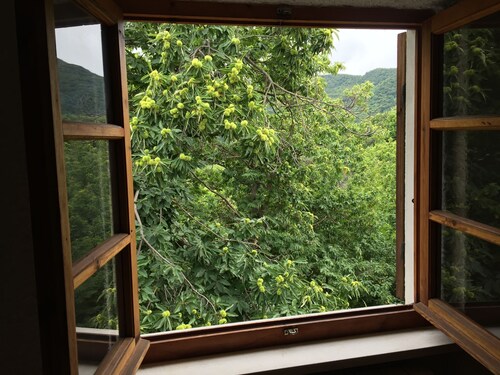 House in the woods Osiglia, Liguria